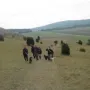 Wunderschöne Landschaft.