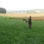 Laufen, laufen laufen...