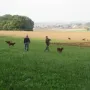 Es soll nie enden..