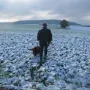 Auf gehts ins Feld