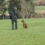 Neila und ihr Herrchen sind gut im Rennen.