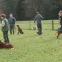 Eigentlich sollte "Platz" gemacht werden.