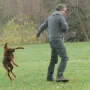 Nico oder Heiko?? Wer macht das Rennen?