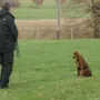Neila, Sitz und Bleib!