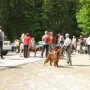 Noch eine kurze Lagebesprechung vor dem Aufbruch.