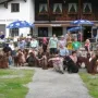 Schaut auch gut aus..