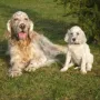Vater mit Sohn