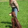 Kathy zeigt Apport.