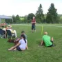 Stephan erklärt: wie präsentiere ich meinen Setter.