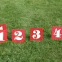 Wer wird wohl die Plätze gewinnen?