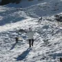 Und die Hunde rennen und rennen