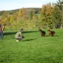 Perfekt auf Kommando..
