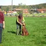 Jetzt wird Apport geübt.