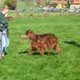 Auch Kashmir macht es perfekt.
