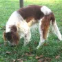 Unser Red & White Besuch mit 14 Jahren.