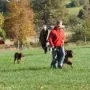 Und wieder "Bei Fuß"