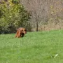Donerl hat sie gleich gefunden.