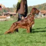 Natan, wo ist sie denn??