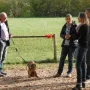 Lagebesprechung mit den "Neuen"; Hallo!