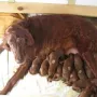 natürlich mit unserer Mama Eyreen