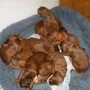 wir kuscheln uns fest aneinander!