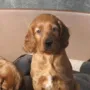 ich bin auch gespannt, wer mich ausgesucht hat