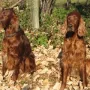 Yolookatme und Winny