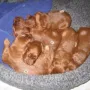 wo bleibt den Mama?