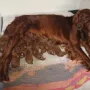 Ruhe nach der Geburt