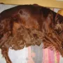 mit Mama schlafen wir am besten