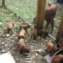 Wir schnuppern die erste Bergluft