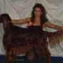 Garcia zum Ball der Championhunde