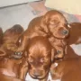Wir wachsen ganz toll!