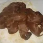 Jetzt sind wir aber todmüde!