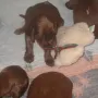 Aber bald sind wir wieder müde.