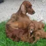 Und unsere Mama ist auch dabei.