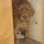 Ich bin neugierig..)) 