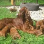 Bei Mama ist es draußen am schönsten!