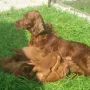 Und Mama kümmert sich immer noch rührend um uns.