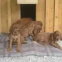 Vor unserer Villa!