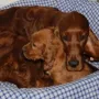 Mama Donerl mit Frau 2
