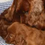 Mama kümmert sich schon noch um mich.