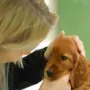 Die zwei passen zusammen!