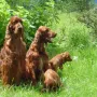 Mit Papa und Mama.