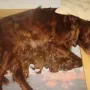 Mama braucht auch mal Ruhe.