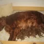Wie schön, mit Mama!