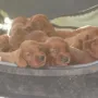 Die Bergluft macht uns müde.