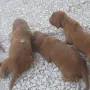Wir wollen was erkunden.