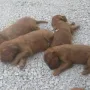 Schön langsam wollen wir weiter...