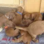 Ich erwisch dich gleich!!